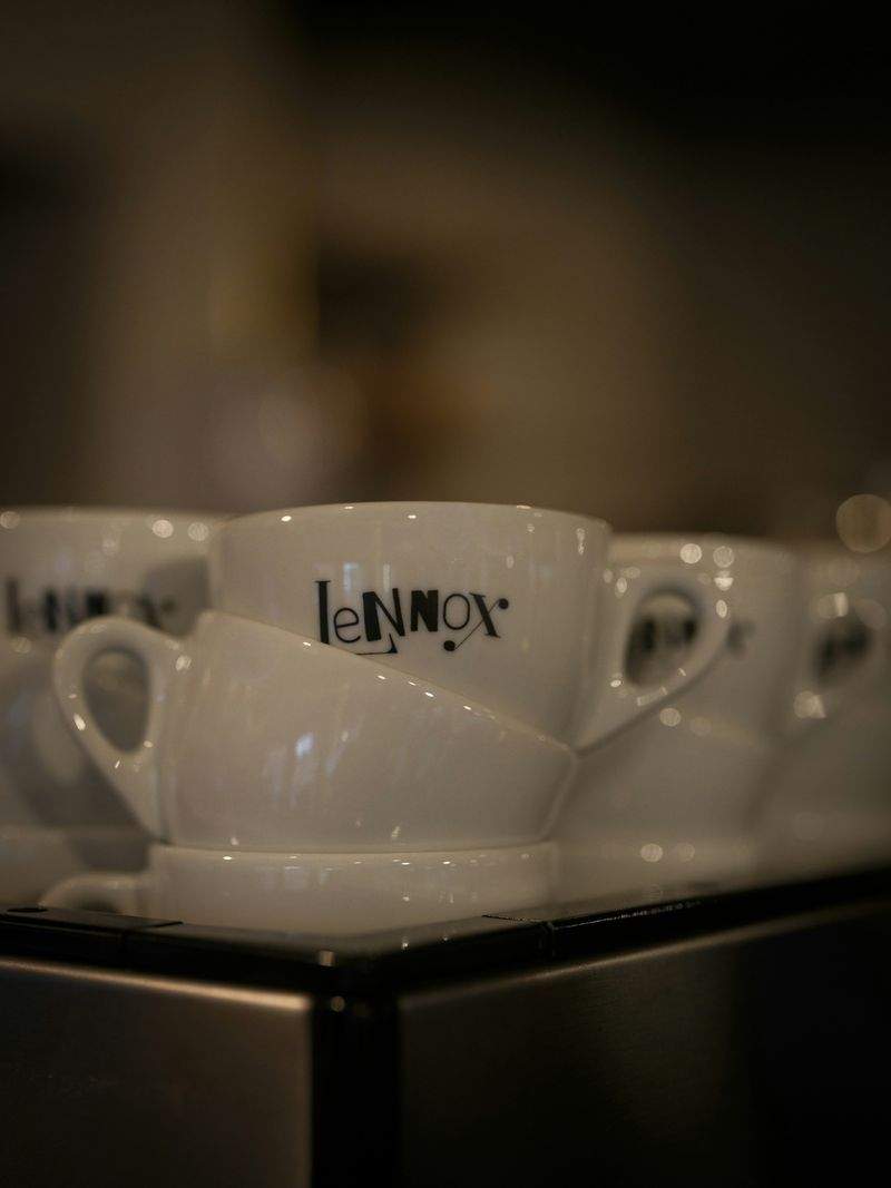 Sådan Vælger du den Perfekte Kop